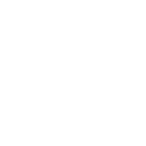 Logotipo Pinturas Plastimex blanco